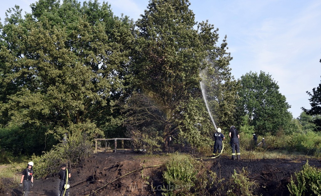 Waldbrand Koeln Hoehenhaus Hoehenfelder Mauspfad P122.JPG - Miklos Laubert